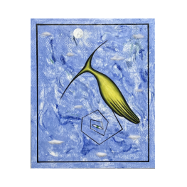 rapito dal sogno.2025